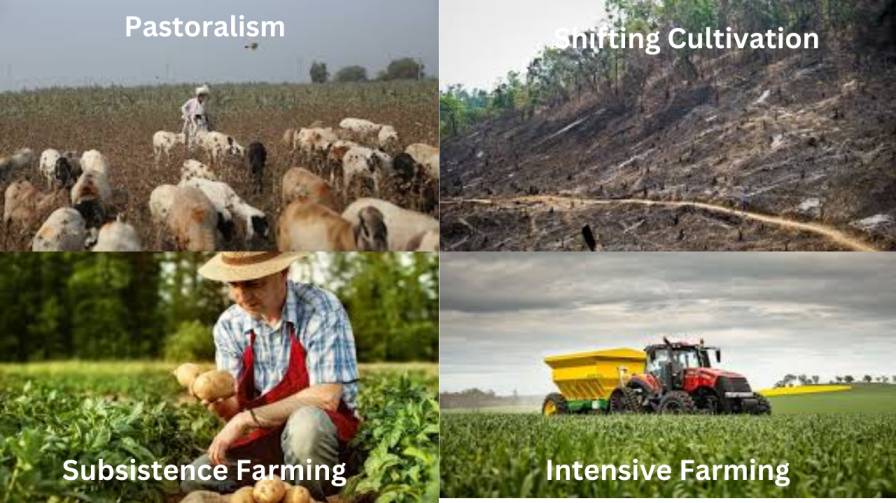 four types of Agriculture Pastoralism, Shifting Cultivation, Subsistence Farming, Intensive Farming