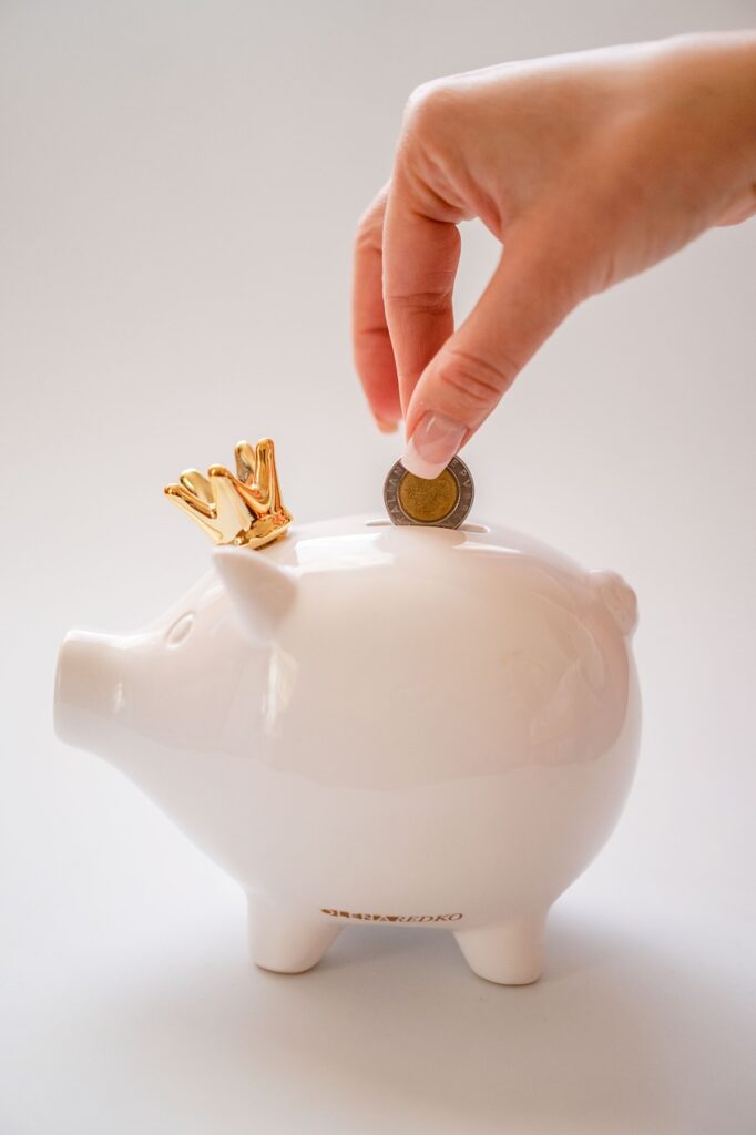 How to Save Money on a Tight Budget in India